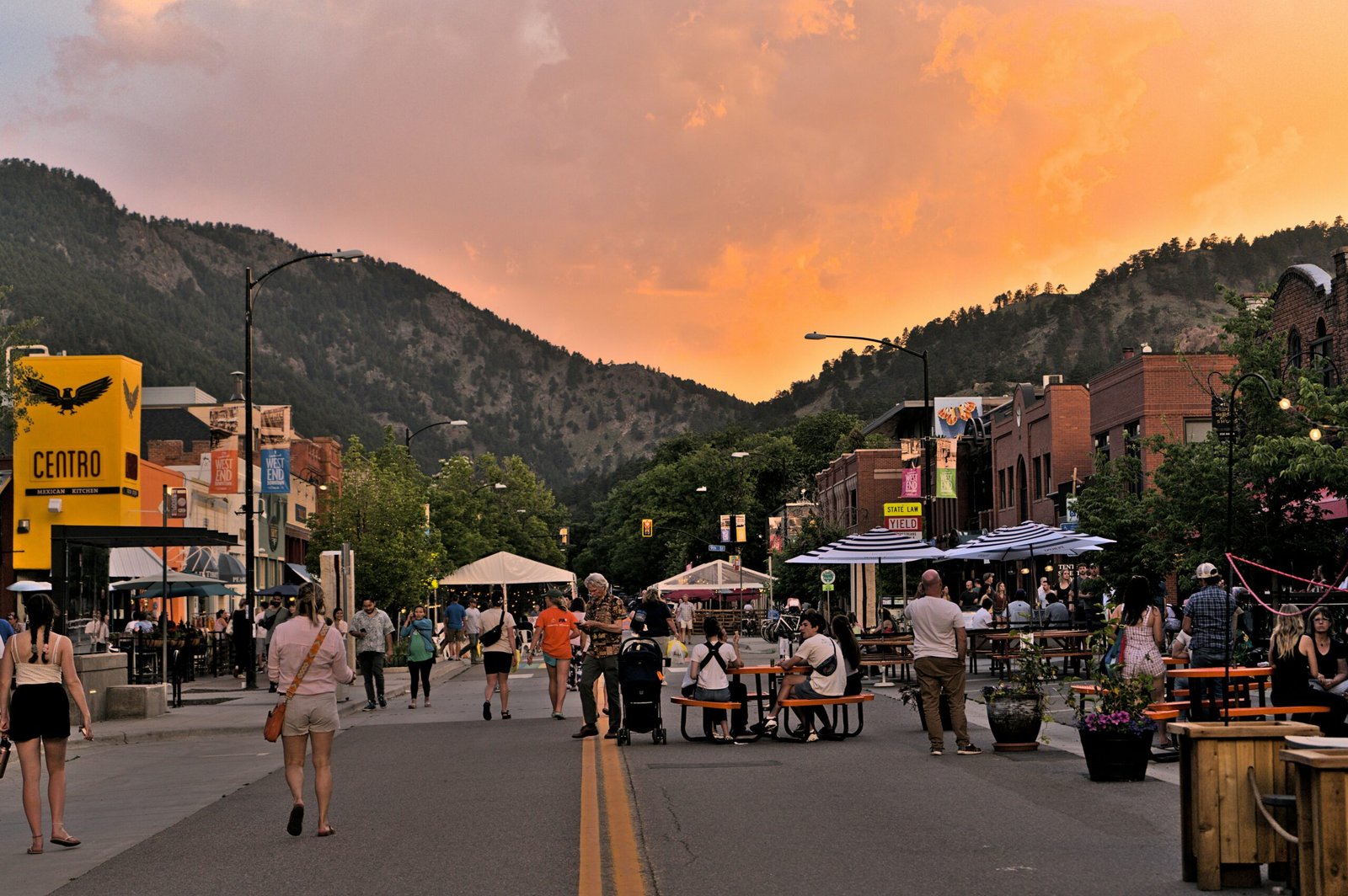 Boulder Pet waste management dog poop pick up